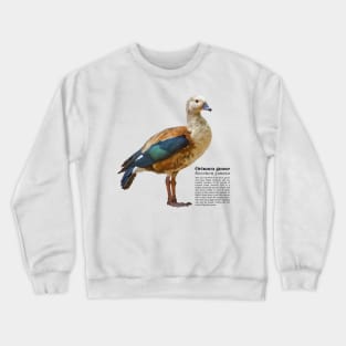 Orinoco goose tropical bird black text Crewneck Sweatshirt